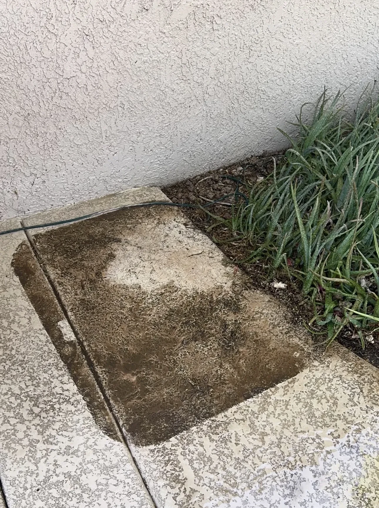 Patio area beneath a grill before cleaning